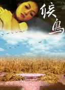 错误页面优化策略助力提升网站整体搜索引擎表现